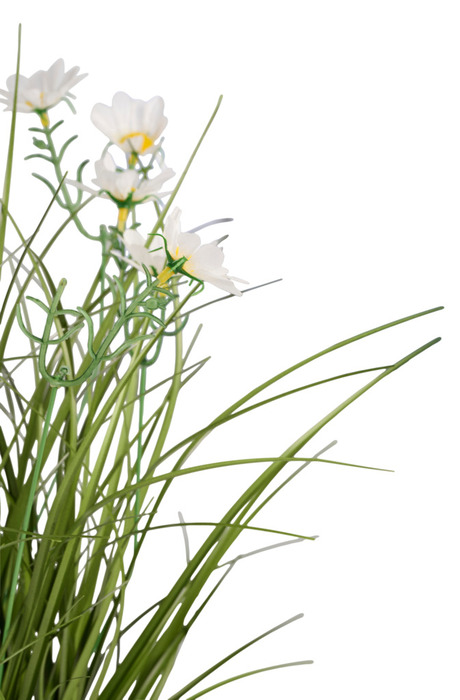 Kunstgræs med margueritblomster 50 cm